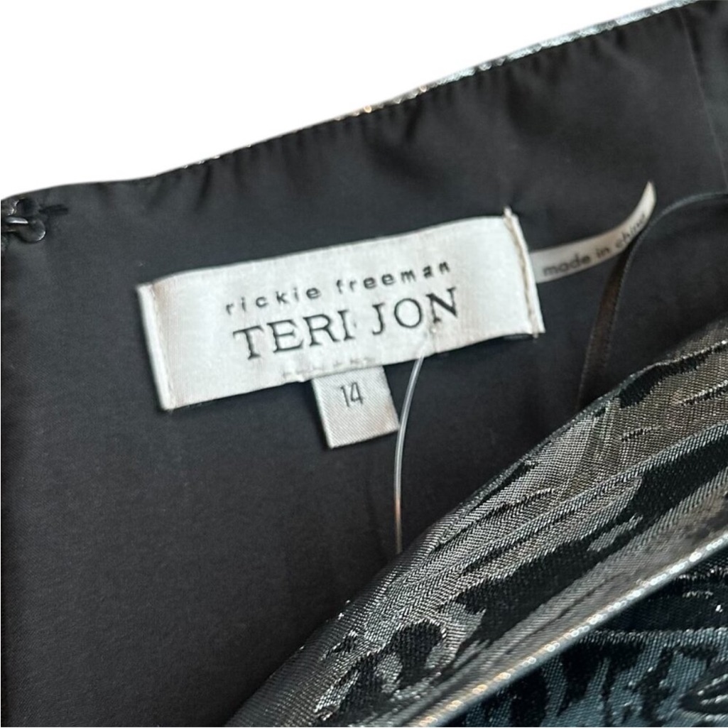 Rickie Freeman Teri Jon Black And Silver Dress